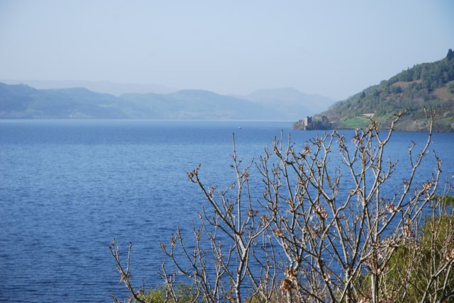 dsc_0660.jpg