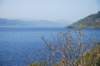 dsc_0660_small.jpg