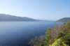 dsc_0661_small.jpg