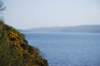 dsc_0663_small.jpg