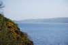 dsc_0664_small.jpg