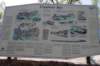 dsc_0667_small.jpg