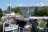 dsc_0808_small.jpg