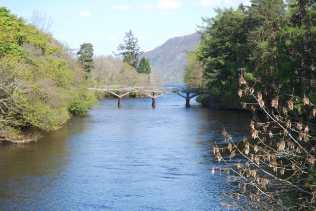dsc_0820.jpg