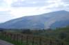 dsc_0866_small.jpg