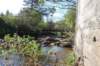 dsc_0968_small.jpg