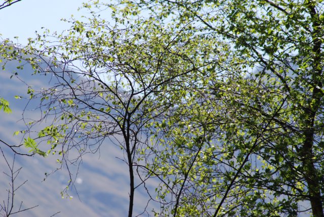 dsc_1009.jpg