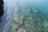dsc_1076_small.jpg