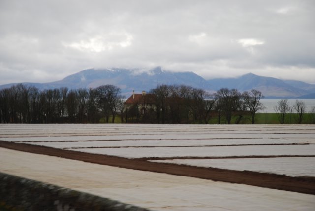 dsc_0157.jpg