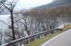 dsc_0201_small.jpg