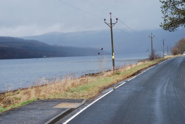 dsc_0205.jpg