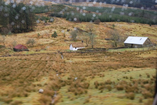dsc_0257.jpg