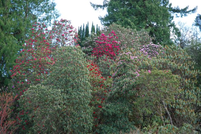 dsc_0293.jpg