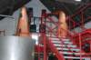 dsc_0401_small.jpg