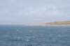 dsc_0625_small.jpg