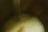 dsc_0742_small.jpg