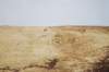 dsc_0964_small.jpg