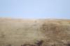 dsc_0971_small.jpg