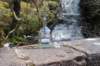 dsc_0995_small.jpg