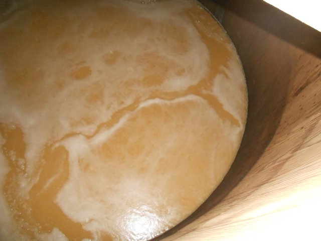 dscn5591.jpg
