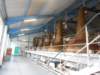 dscn5659_small.jpg