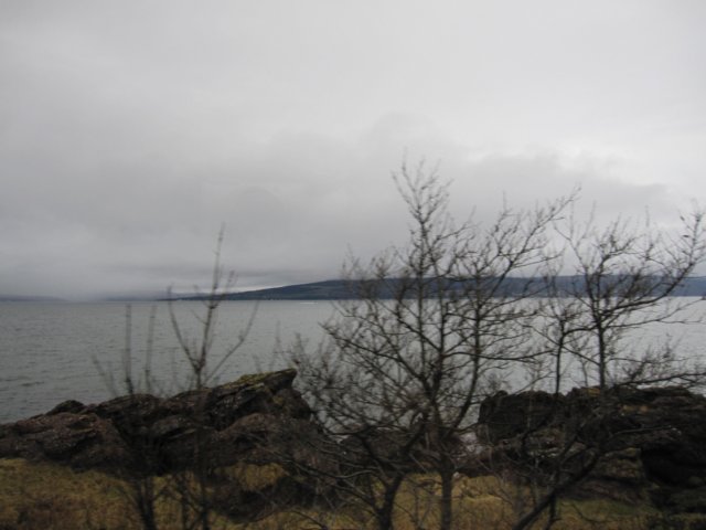 img_1484.jpg