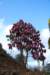 dsc_0148_small.jpg