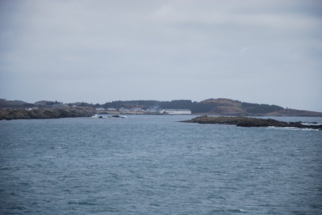 dsc_0409.jpg
