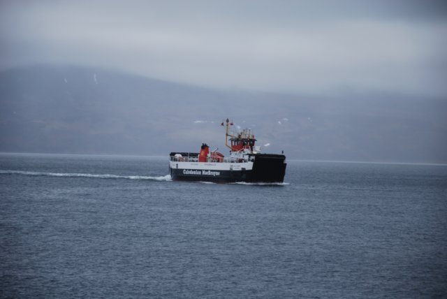 dsc_0616.jpg