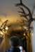 _sc_3029_small.jpg