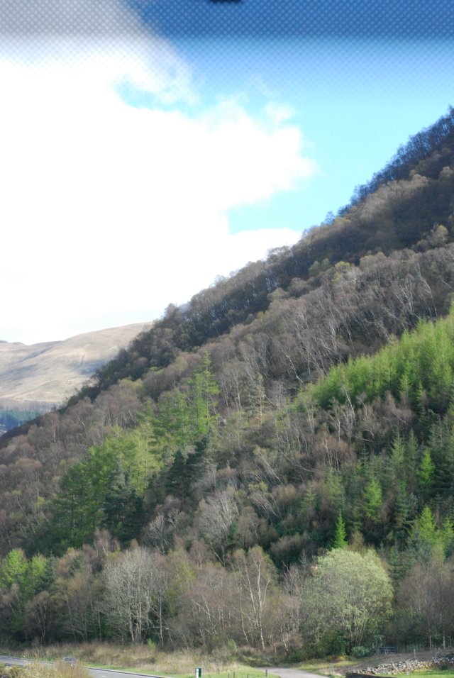 _sc_3167.jpg