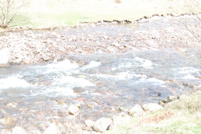 _sc_3186.jpg