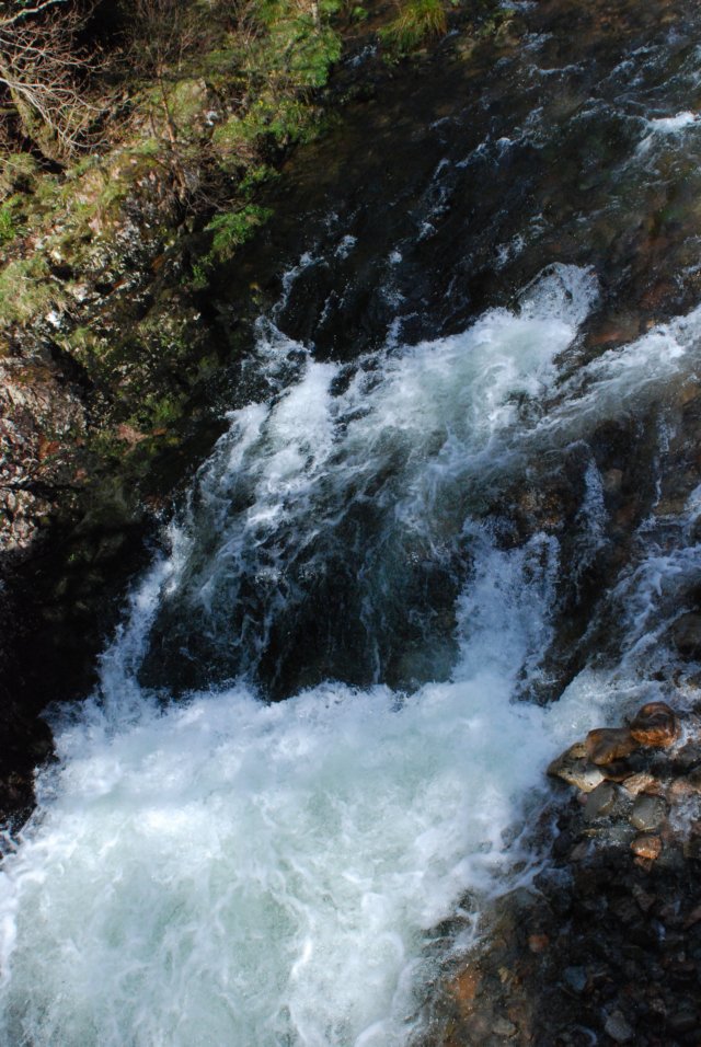_sc_3190.jpg