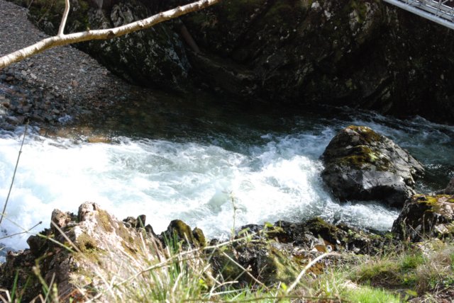 _sc_3204.jpg