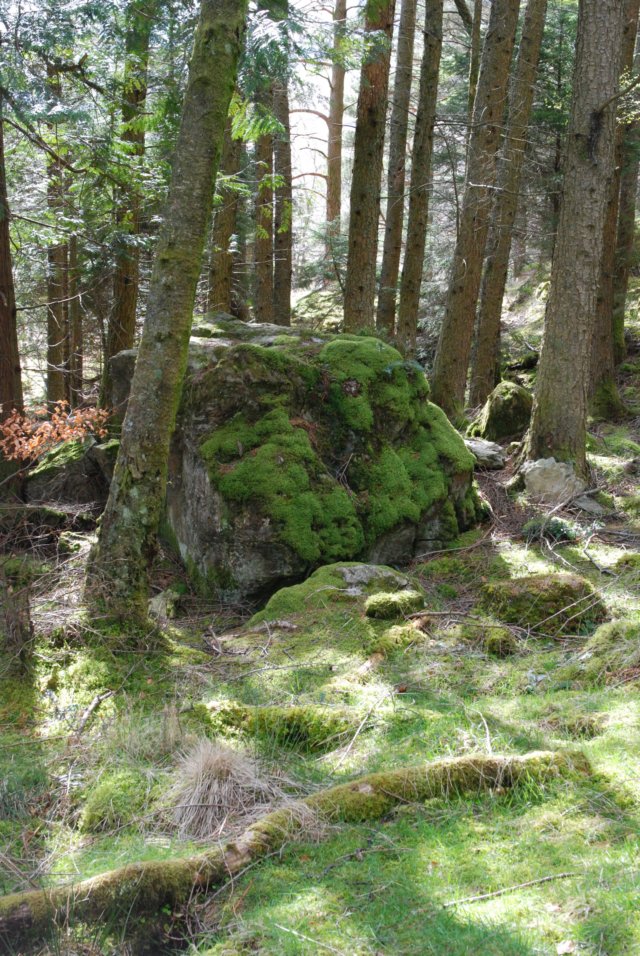 _sc_3206.jpg