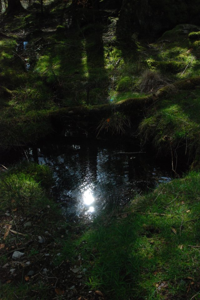 _sc_3207.jpg