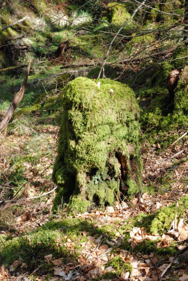 _sc_3221.jpg
