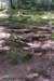 _sc_3233_small.jpg