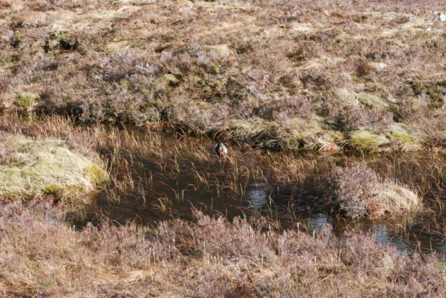 _sc_3325.jpg
