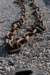 dsc_3360_small.jpg