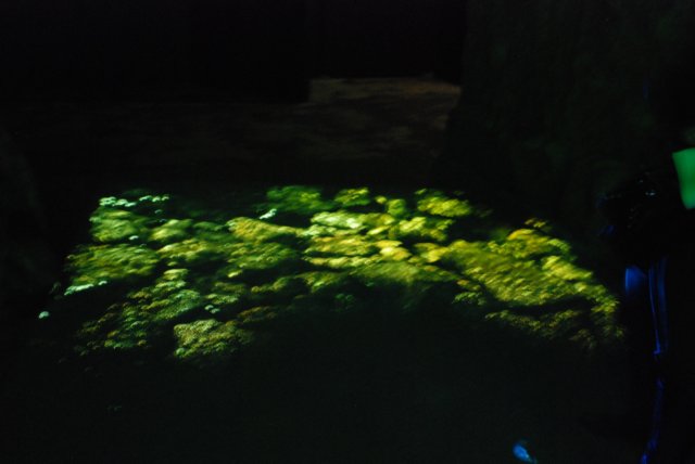 dsc_3516.jpg