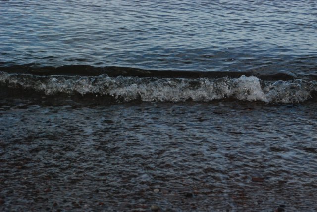 dsc_3540.jpg