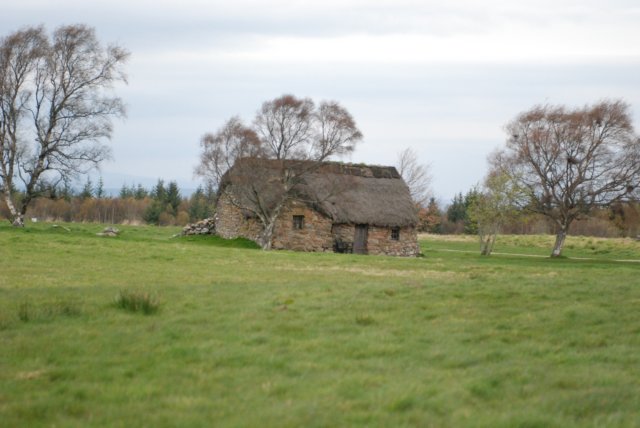 dsc_3559.jpg
