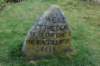 dsc_3565_small.jpg