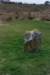dsc_3571_small.jpg