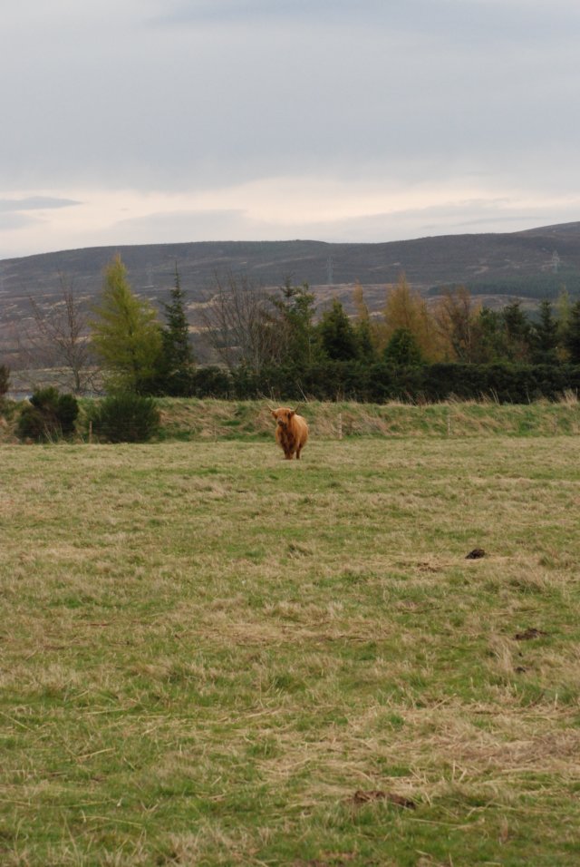 dsc_3607.jpg