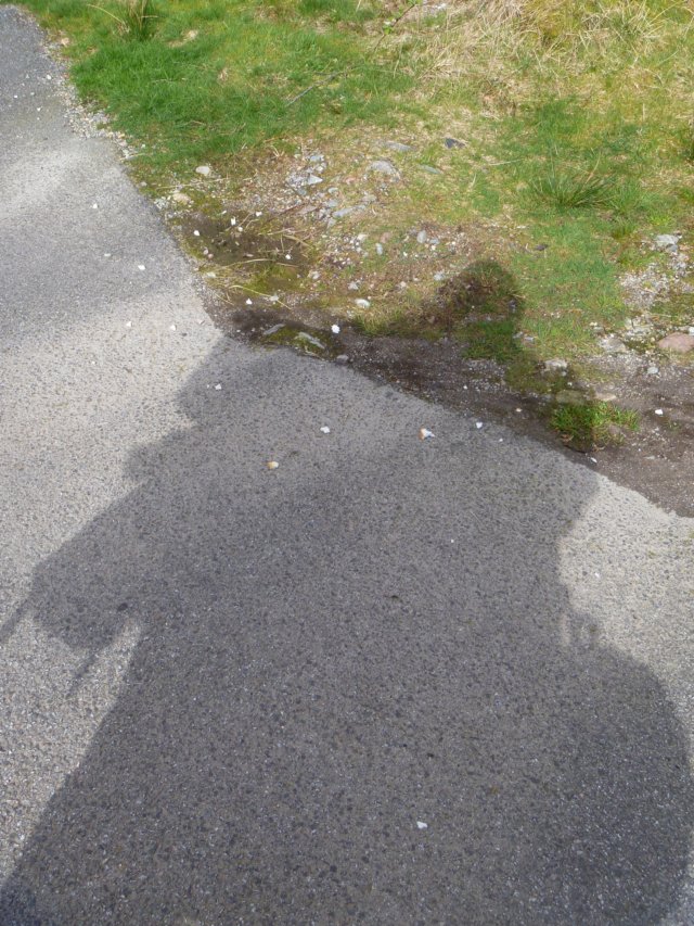p1030619.jpg