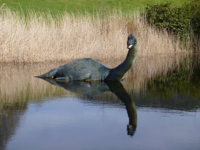 p1030635.jpg