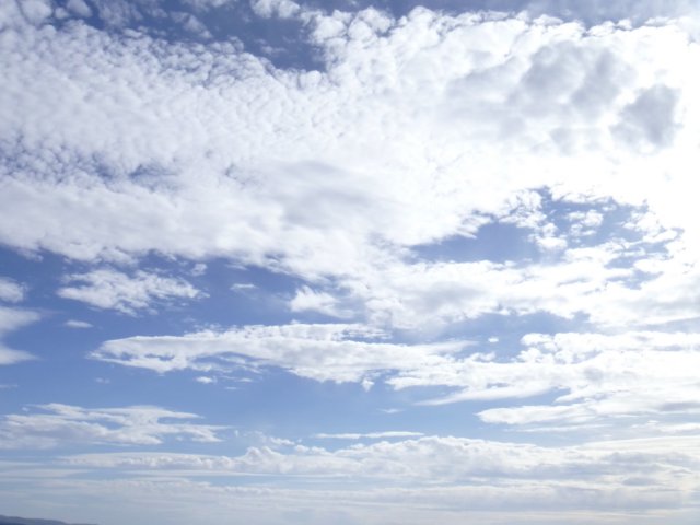 p1030656.jpg