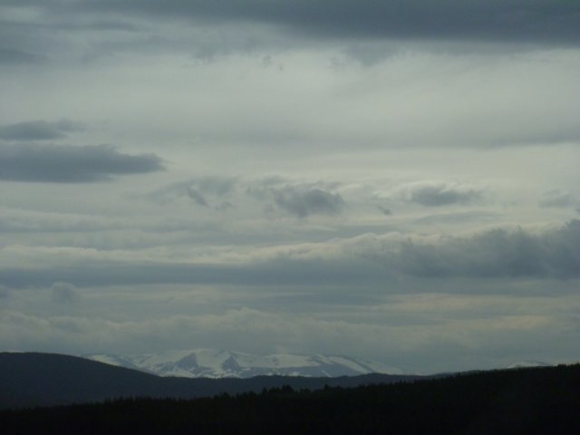 p1030684.jpg